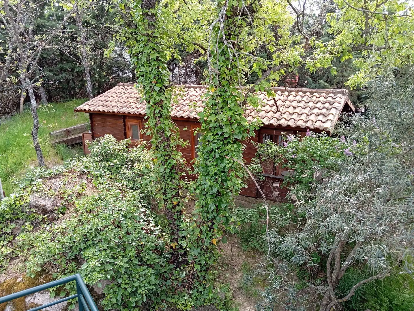 Garden of Houses for sale in Valdemorillo