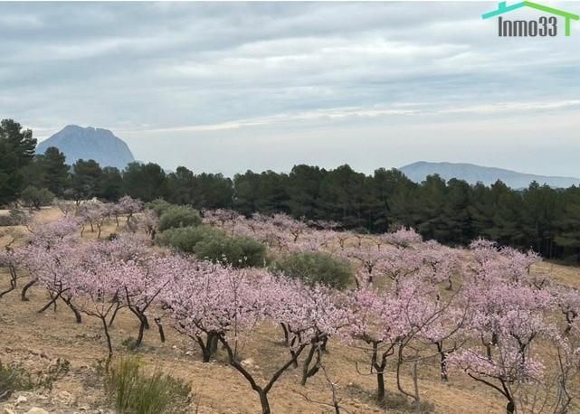 Garden of Country house for sale in Relleu