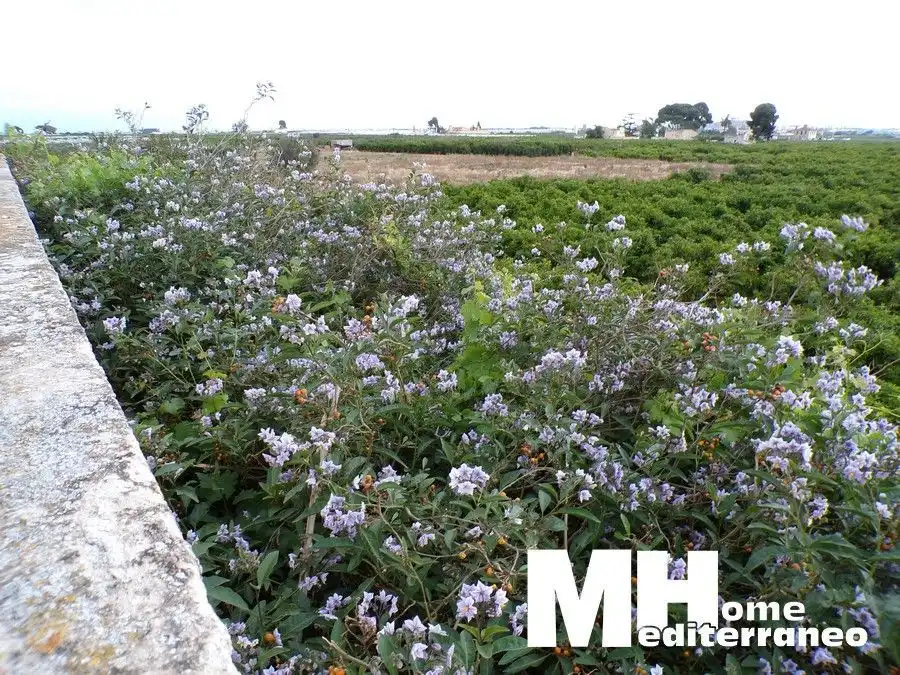 Finca rústica en venta en MAIMONA POLIGONO 27, 68, El Puig