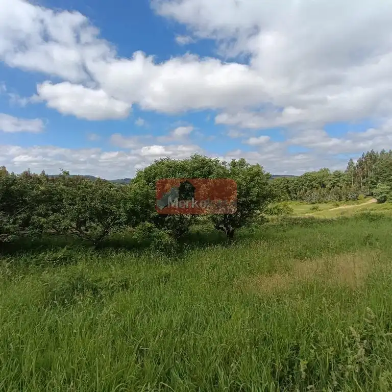 Casa o chalet en venta en Lugo con Jardín privado