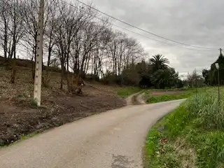 Residential land for sale in Pillarno