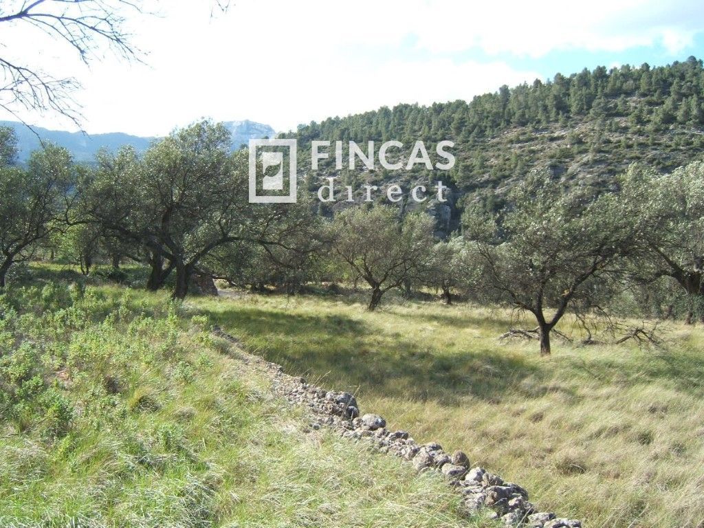 Residential for sale in Paüls