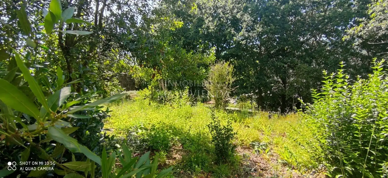 Casa con jardín en venta en Del Val, imagen 50