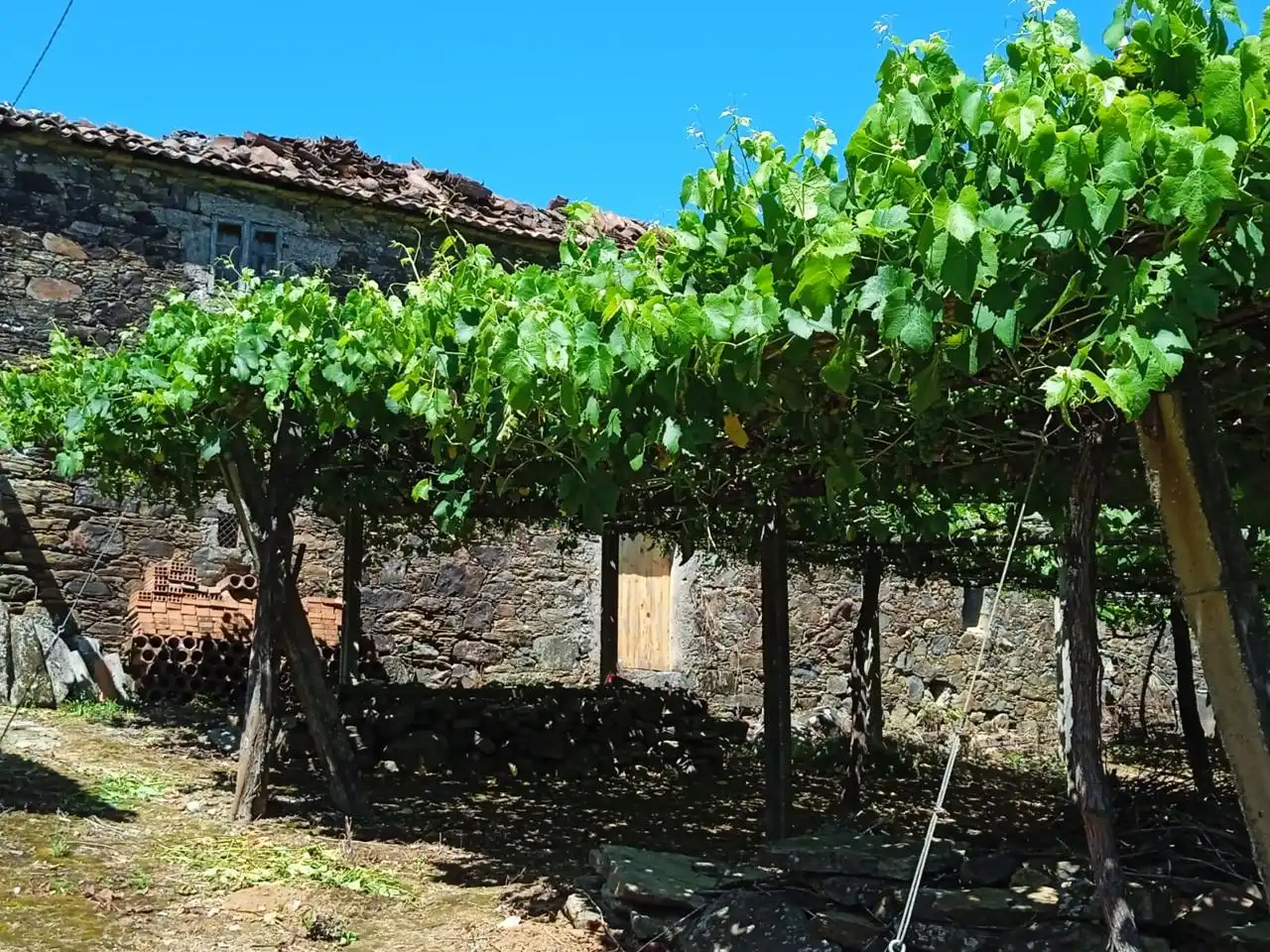 Jardí de Finca rústica en venda en Santiago de Compostela 