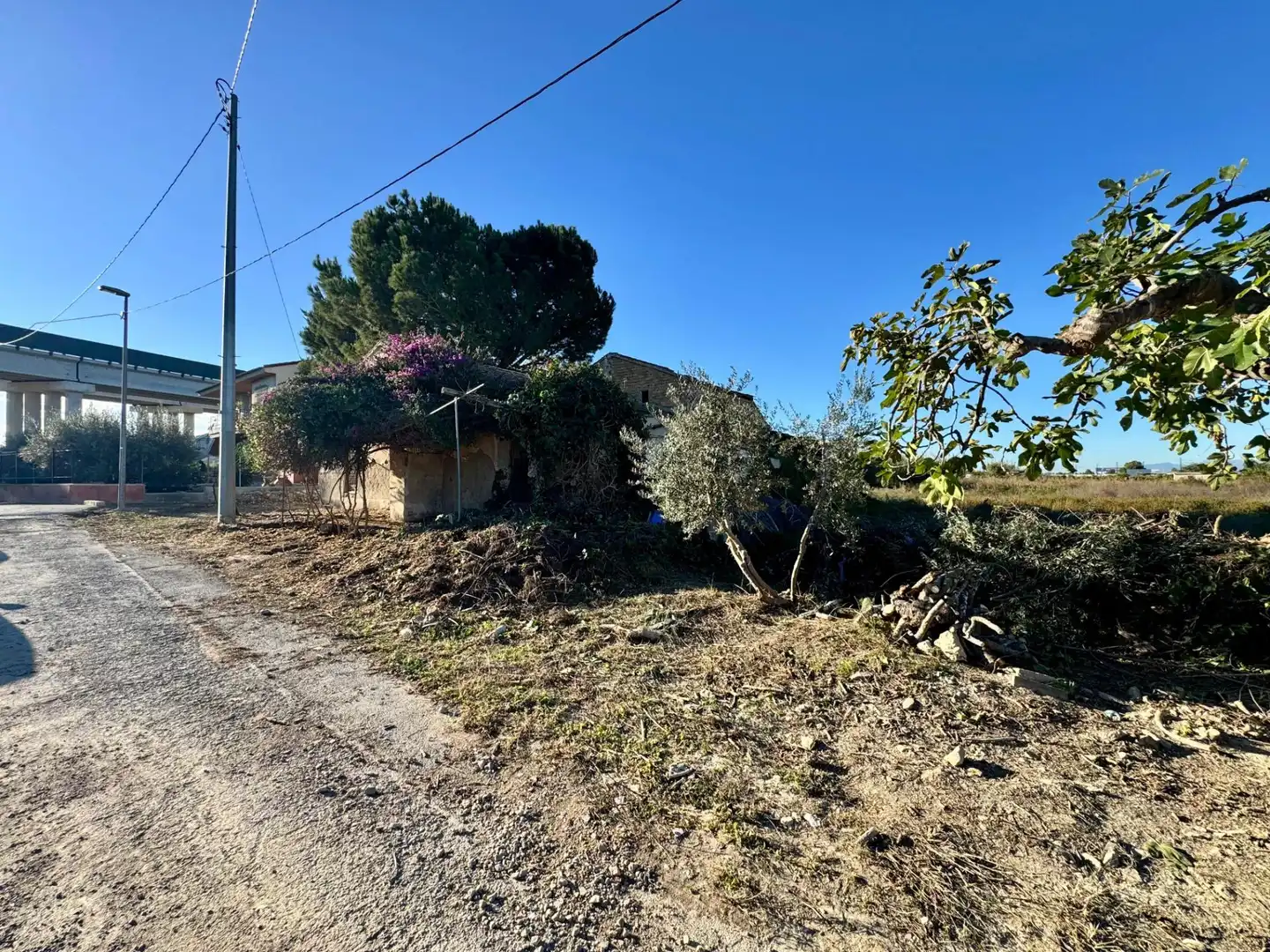 Finca rústica en venta en Murcia