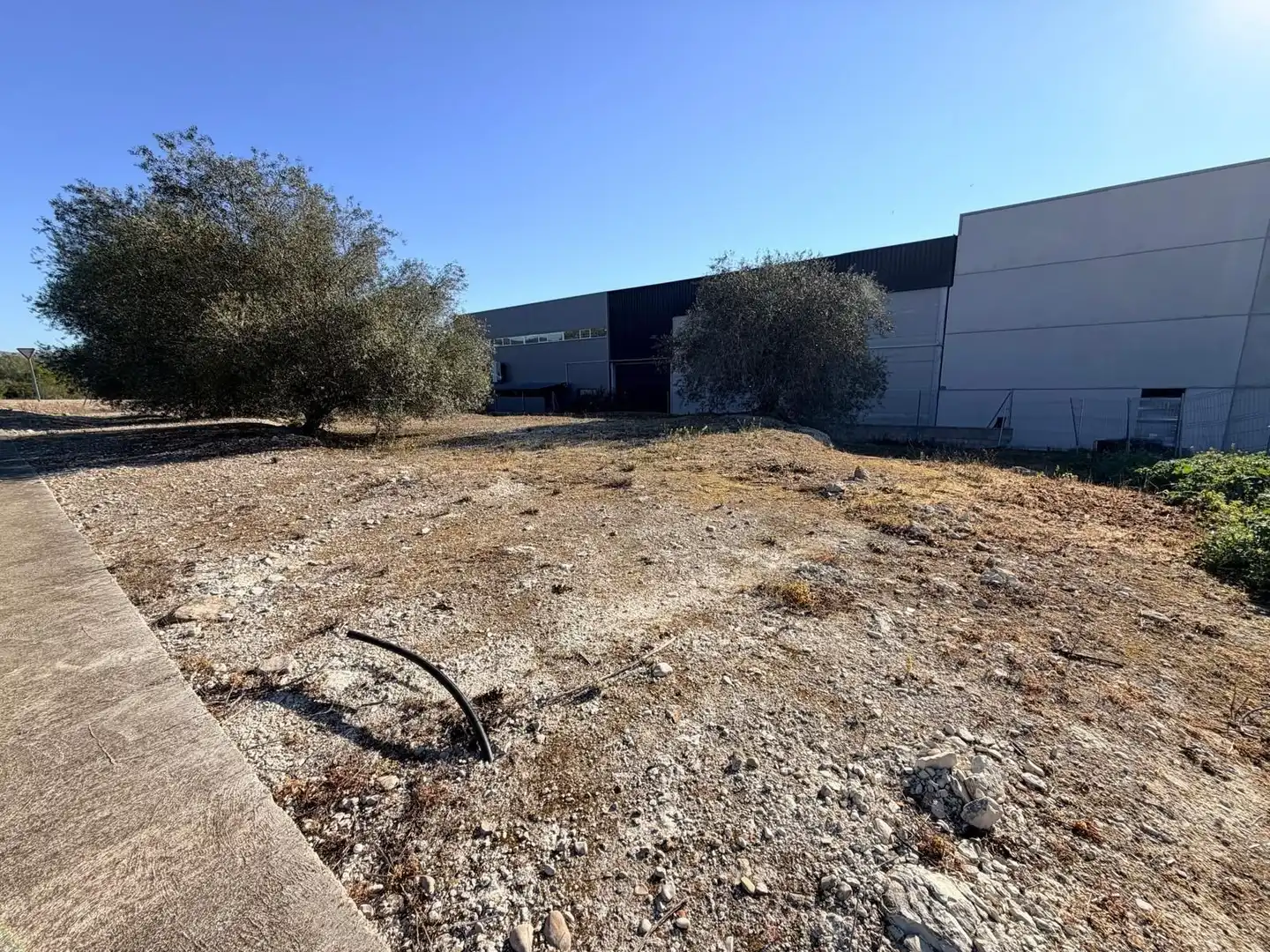 Industrial land for sale in Guadasséquies