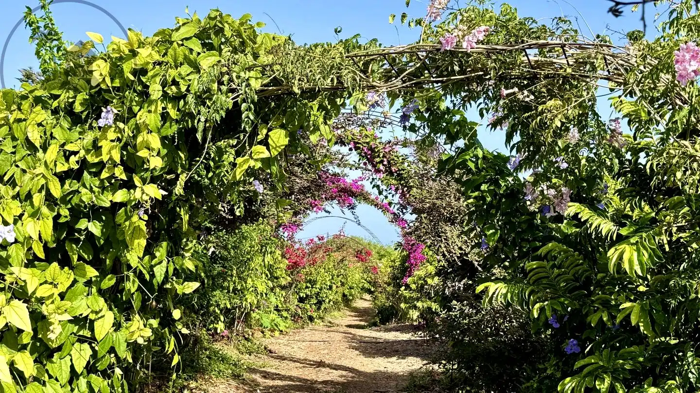 Jardí de Finca rústica en venda en Buenavista del Norte amb Jardí privat i Terrassa