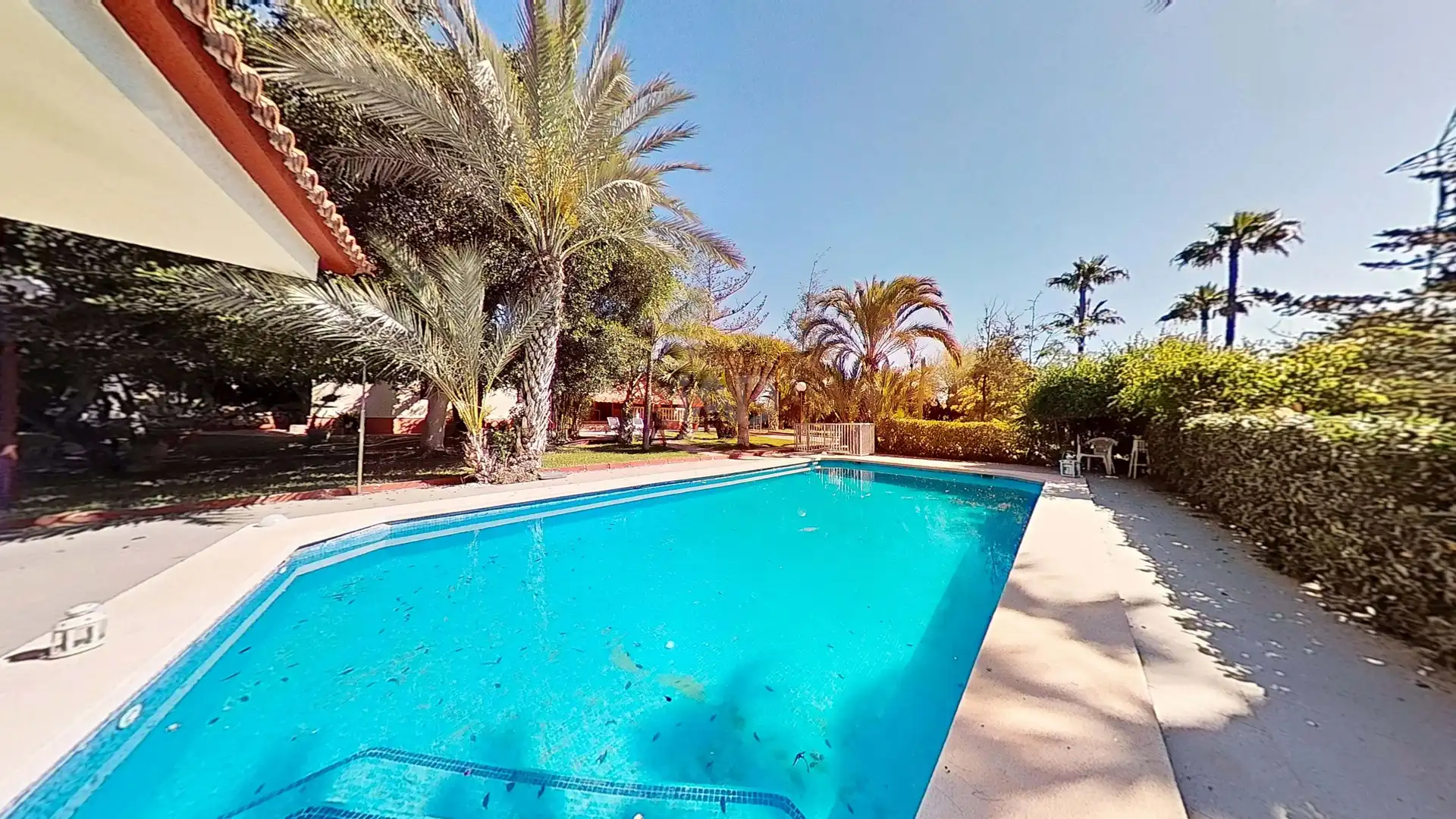 Piscina de Casa o xalet en venda en Elche / Elx amb Aire condicionat, Calefacció i Terrassa