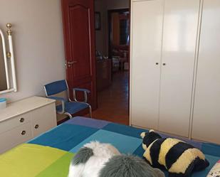 Flat to share in Plaza Industria