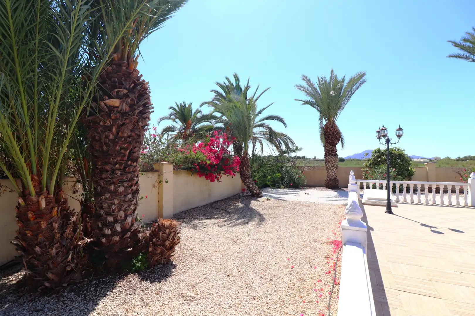 Casa rustica con piscina in vendita a Catral, imagen 29