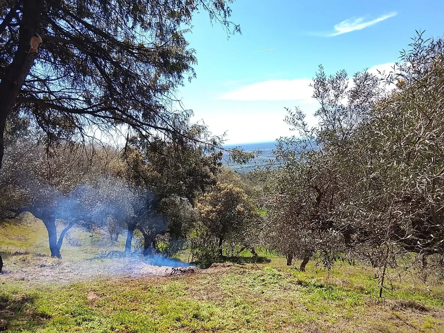 Terreni e lotti in vendita a Candeleda, imagen 65