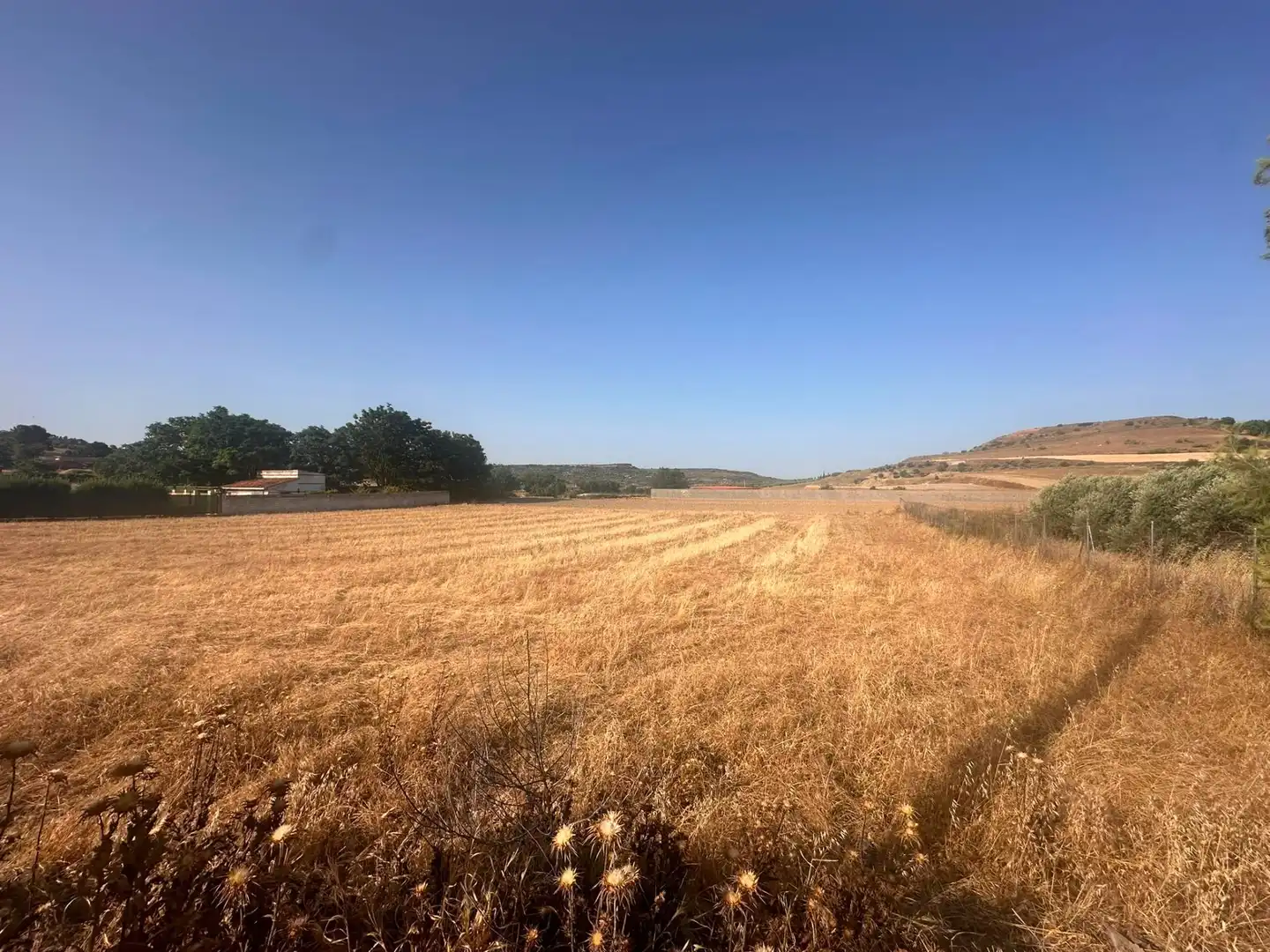 Terreno rustico in vendita a Chinchón, imagen 2