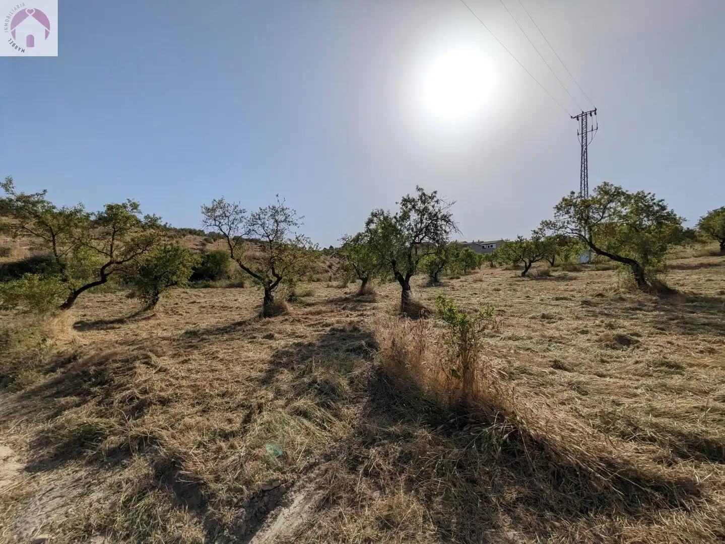 Residential land for sale in EXTRARRADIO, imagen 10