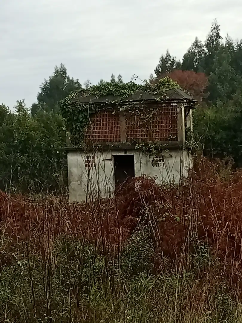 Maison à vendre à Sedes - Pedroso - Doso, imagen 9