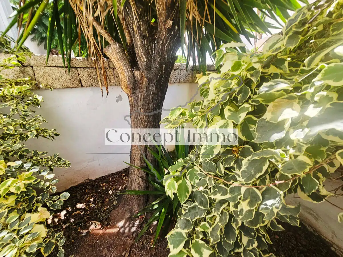 Planta baja en venta en Adeje con Aire acondicionado, Terraza y Alarma