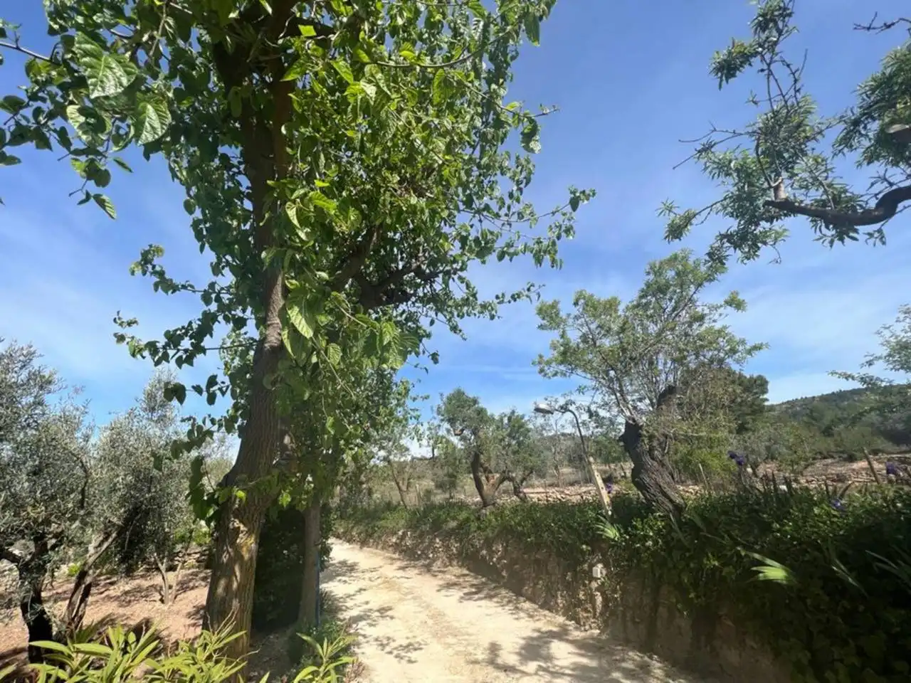 Chalet con jardín en venta en Calle Poligono, imagen 166