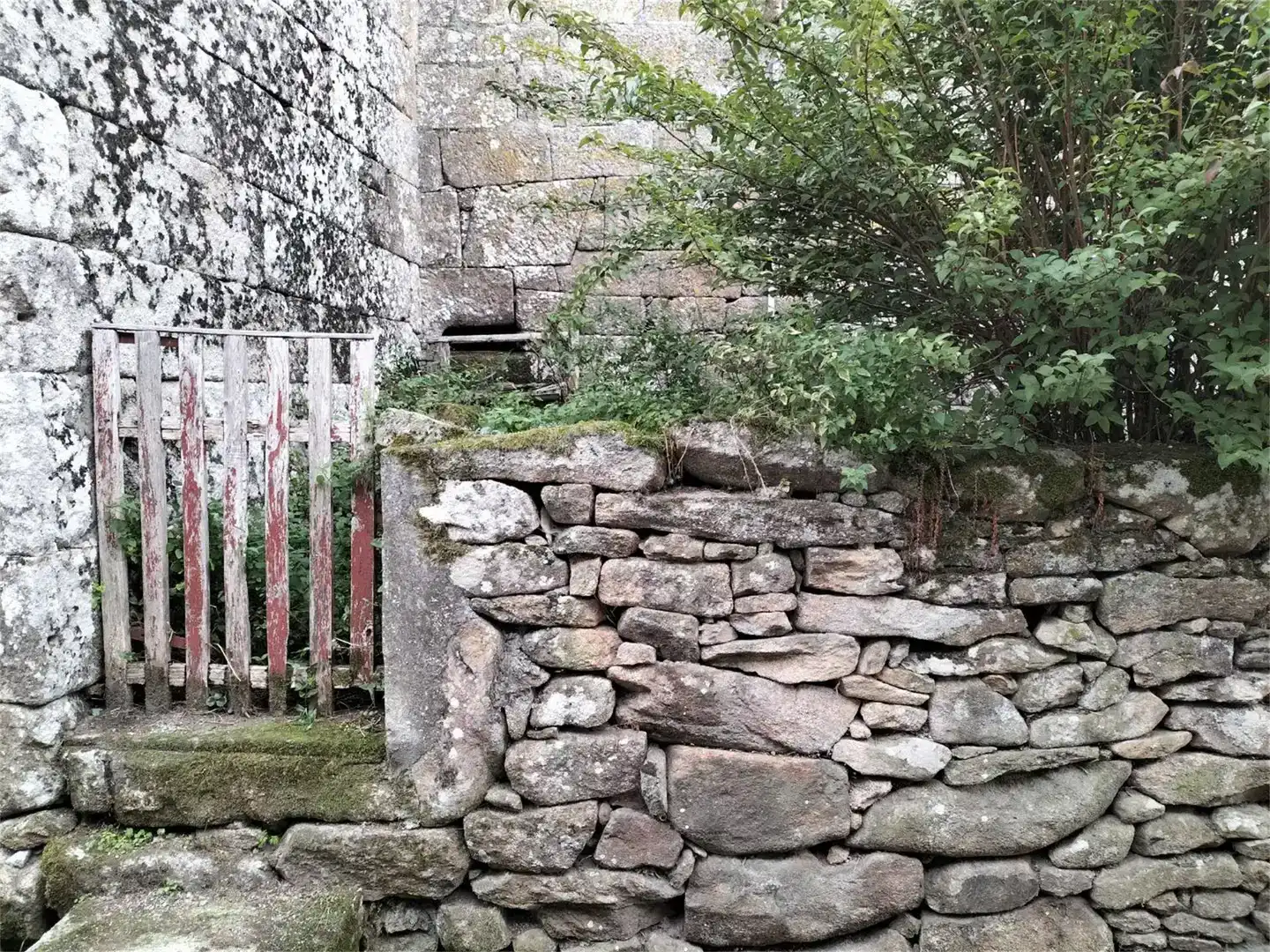 Vista exterior de Pis en venda en Nogueira de Ramuín amb Jardí privat i Traster