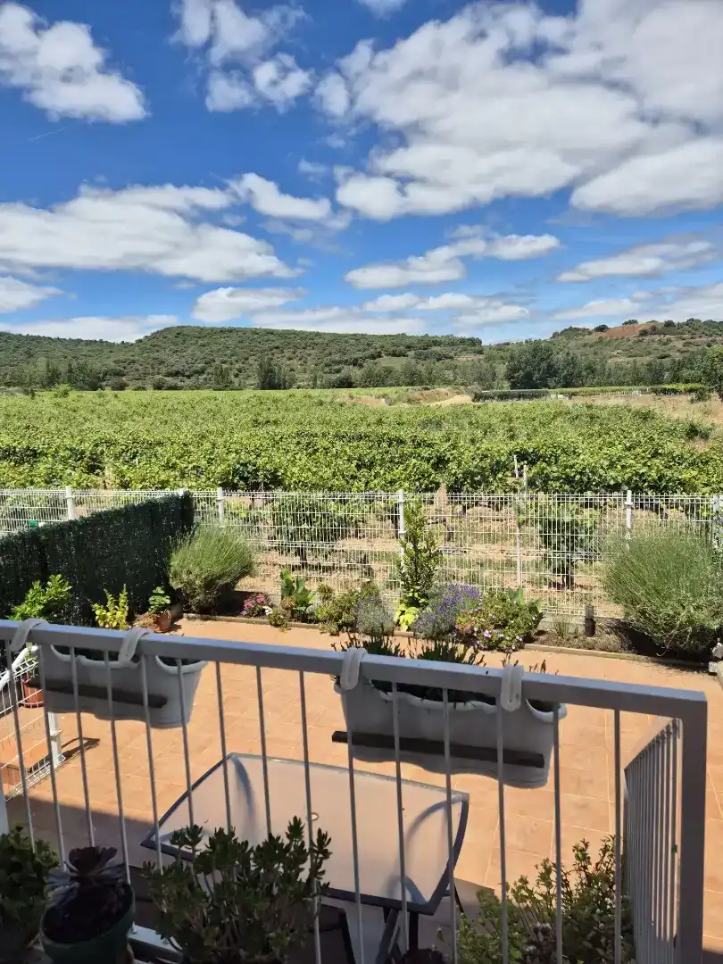 Terrassa de Pis en venda en Medrano amb Jardí privat, Traster i Moblat