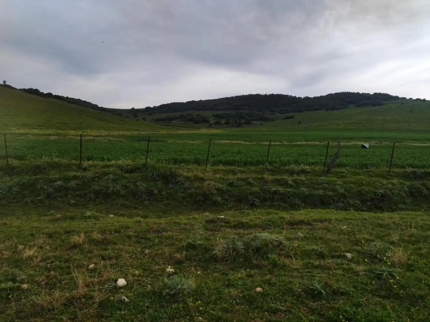 Terreni e lotti in vendita a Medina Sidonia, imagen 42