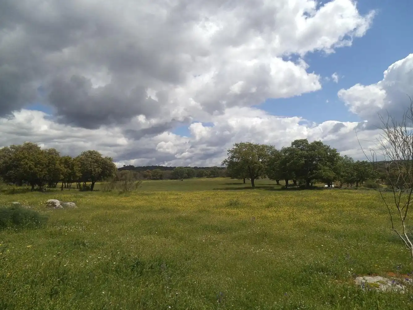 Residencial en venda en Valdemorillo