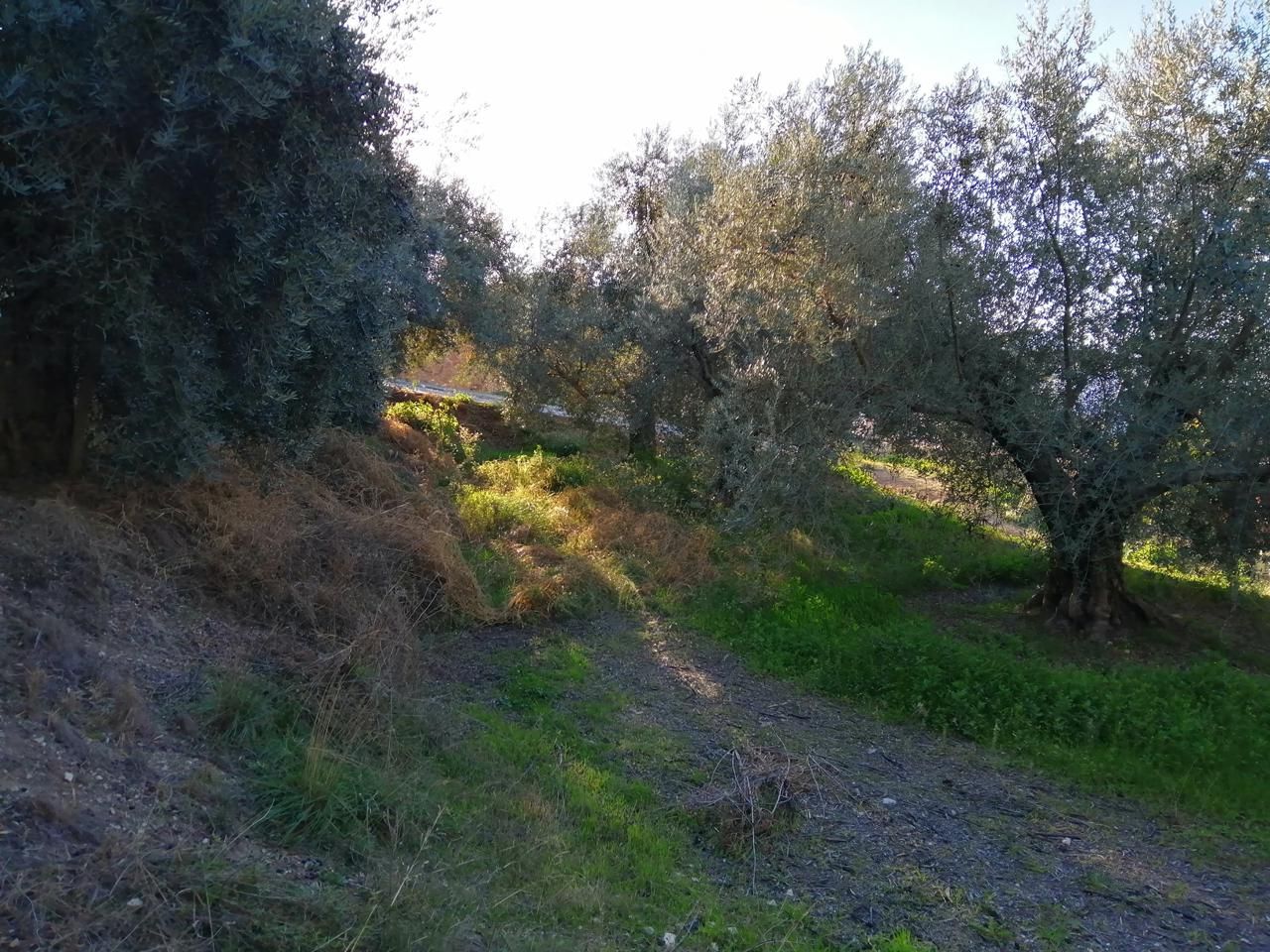 Country house for sale in Dúrcal