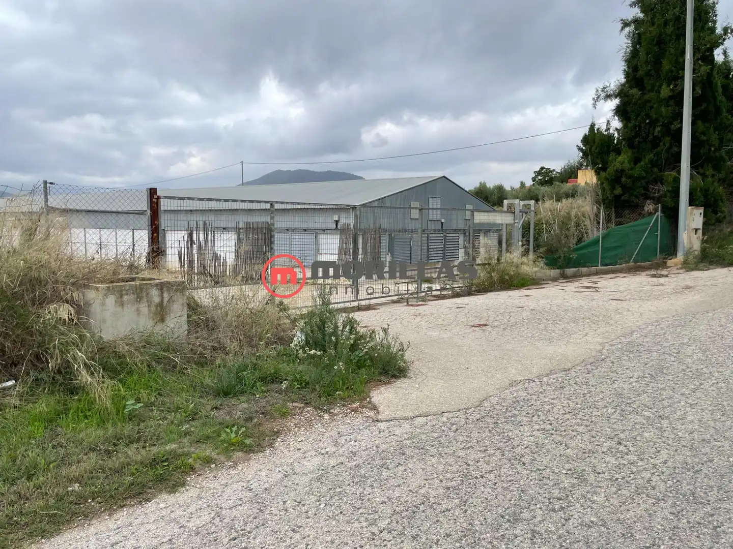 Chalet con jardín en venta en Bullas, imagen 21