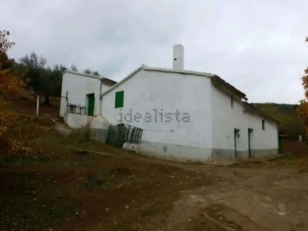 Grundstücke zum Verkauf in Constantina