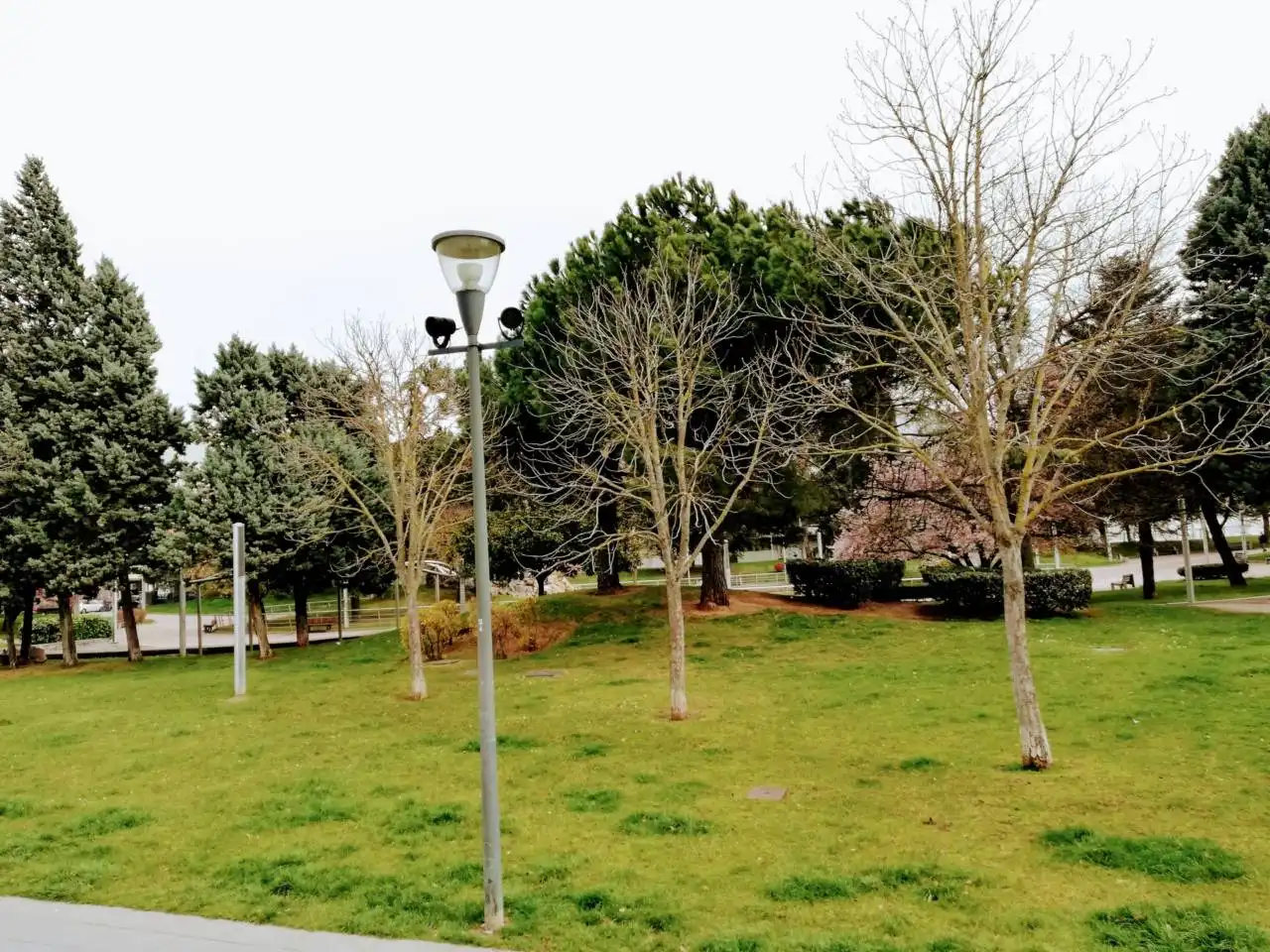 Gewerbefläche zur Miete in Avenida de la Constitución Española, imagen 29