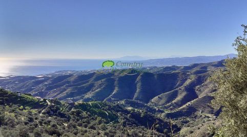 Foto 2 de Finca rústica de lloguer a Torrox Pueblo, Torrox