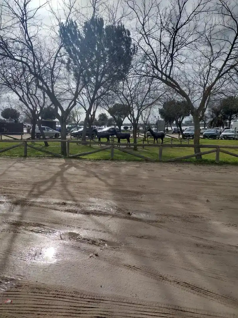 Parking de Estudio en venta en Almonte con Aire acondicionado, Jardín privado y Amueblado