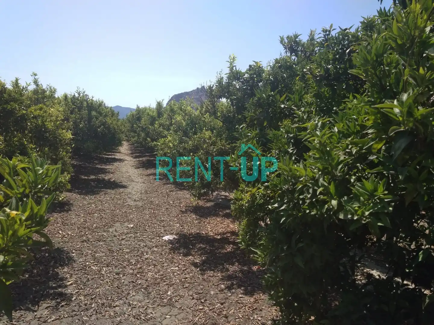 Terreny residencial en venda a Xàtiva, imagen 18