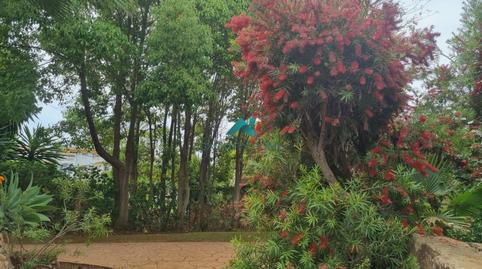 Photo 4 of Flat to rent in  Conjunto de la Dama de Noche, La Dama de Noche - La Alzambra, Marbella