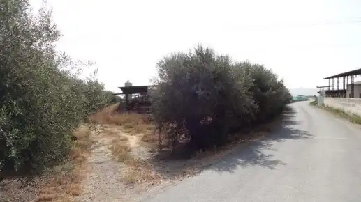 Terreny rústic en venda a Diputación del Esparragal, Pol 4, imagen 6