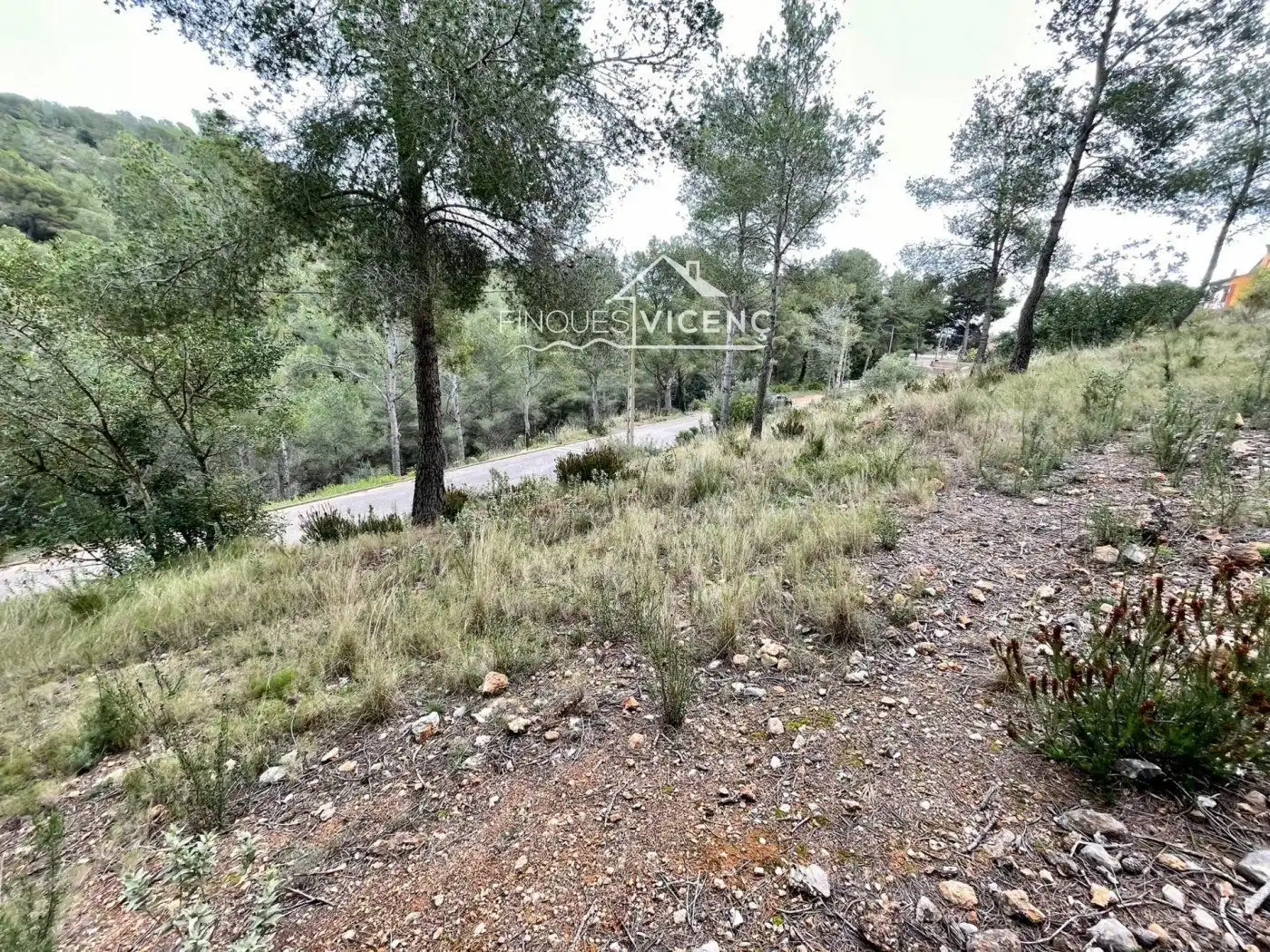 Rural land for sale in Segovia-Priorat, imagen 2