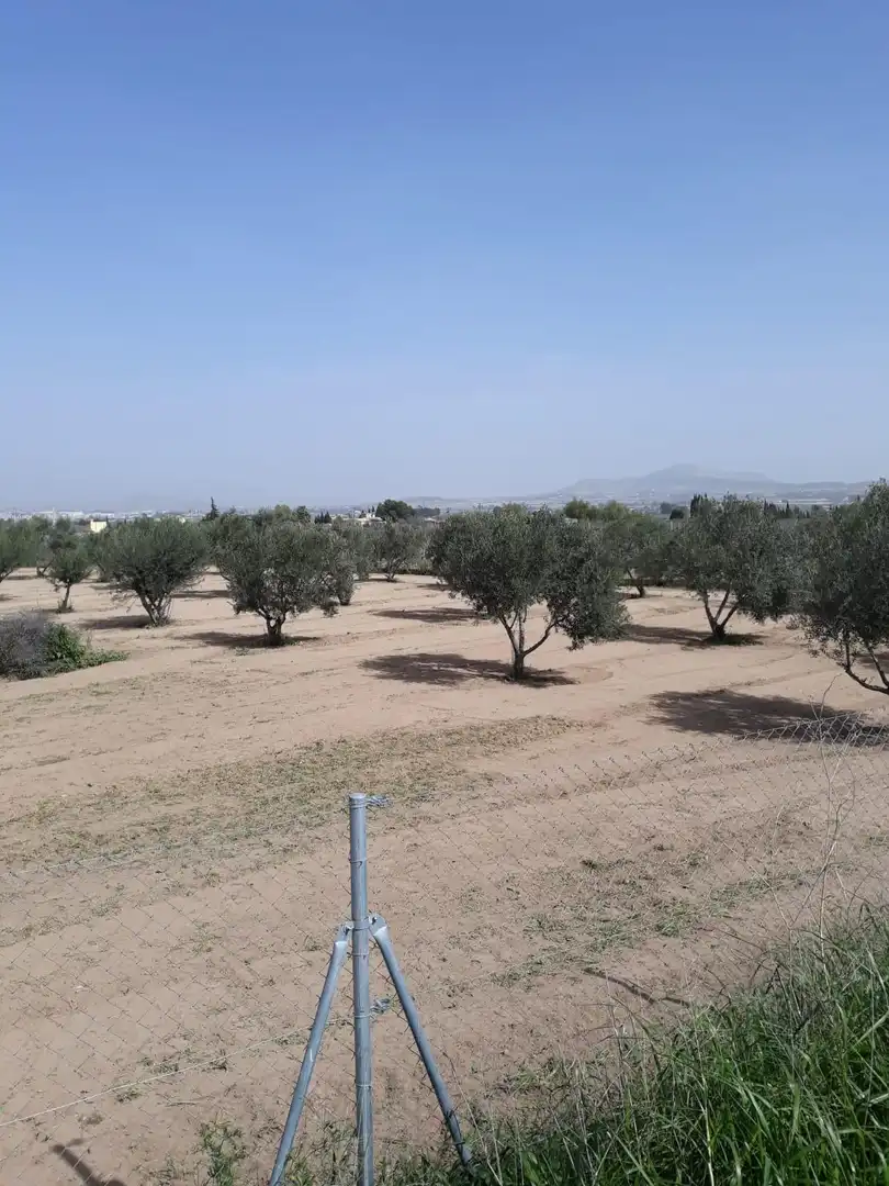 Casa en venta en Camino de la noria de sargueta, imagen 5