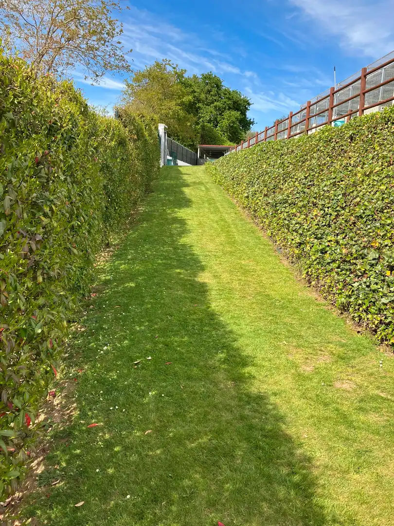 Garden of Houses for sale in Abegondo