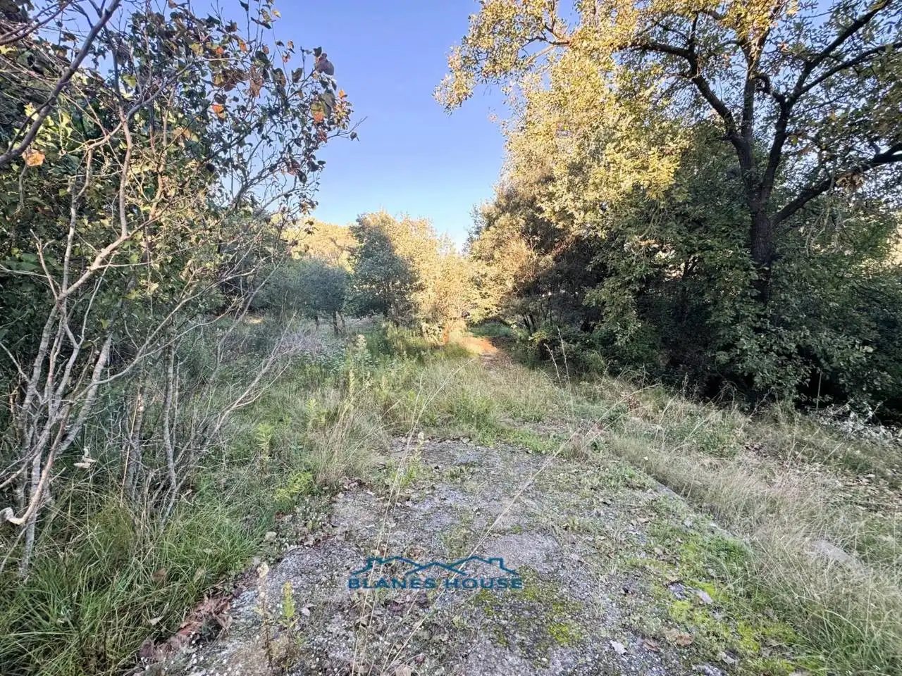 Finca rústica en venda en Tordera amb Jardí privat