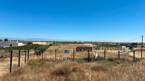 Foto 3 de Terreno en venta en Carrer Girona, 15, Arbeca, Lleida