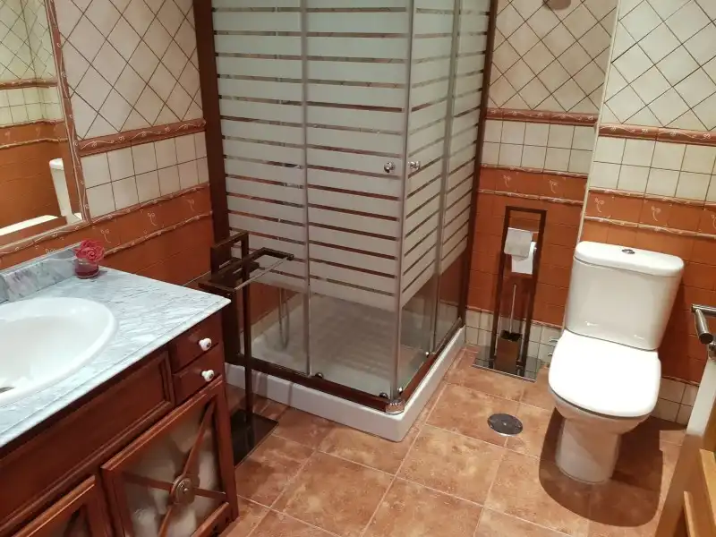 Bany de Casa o xalet en venda en Tejeda de Tiétar amb Aire condicionat, Calefacció i Jardí privat