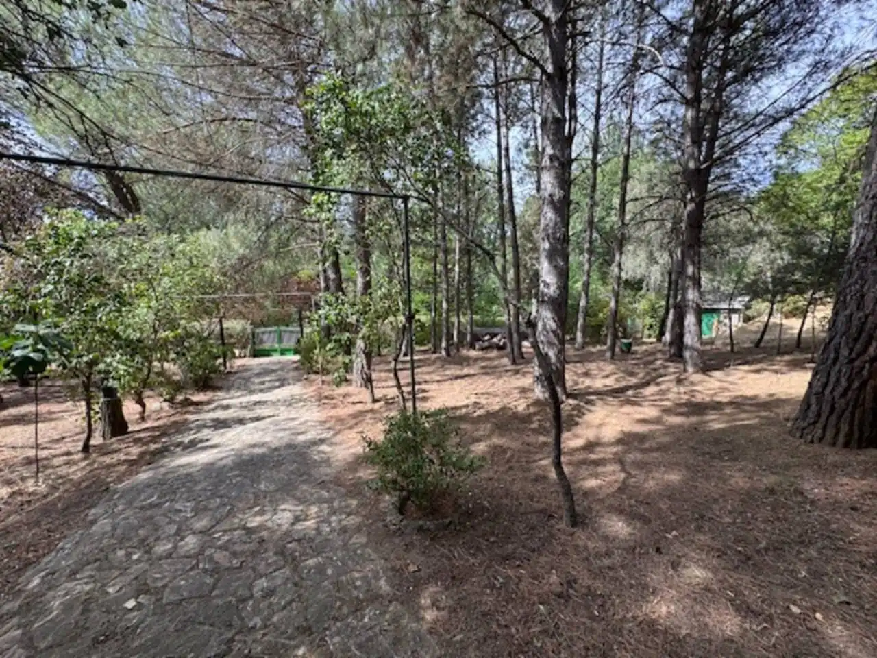 Jardín de Casa o chalet en venta en Villavieja del Lozoya con Calefacción, Terraza y Piscina