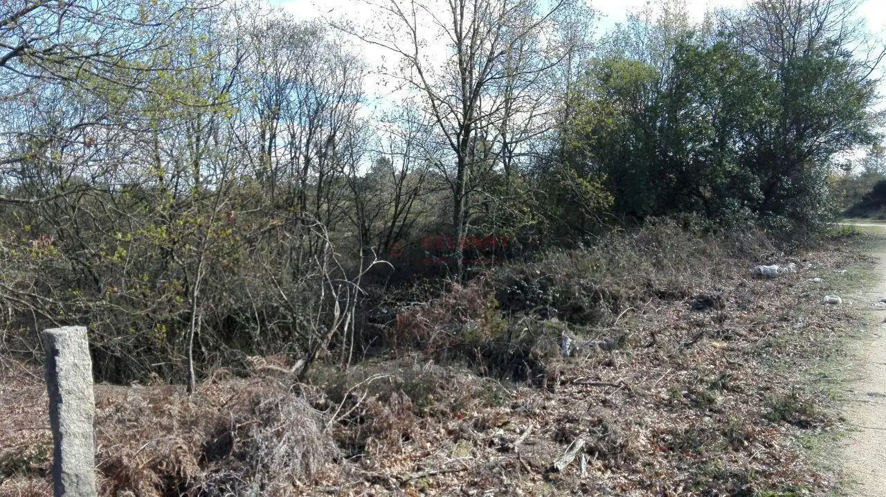 Terrenos y solares en venta en O Pereiro de Aguiar, imagen 3