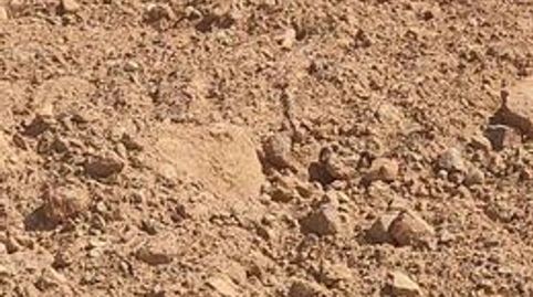VENTA DE BALDIO DE SAN AGUSTIN DE 1 HECTAREA  CUADRADA.