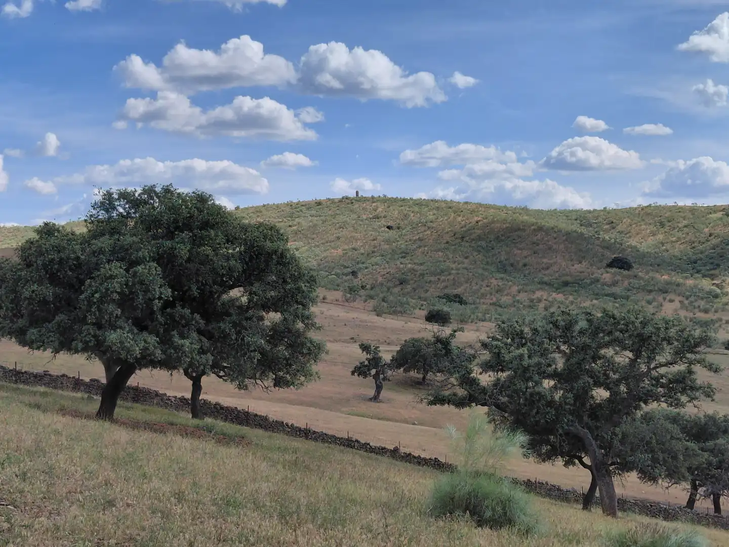 Finca rústica en venda en Fuente de Cantos amb Jardí privat, Forn i Rentadora