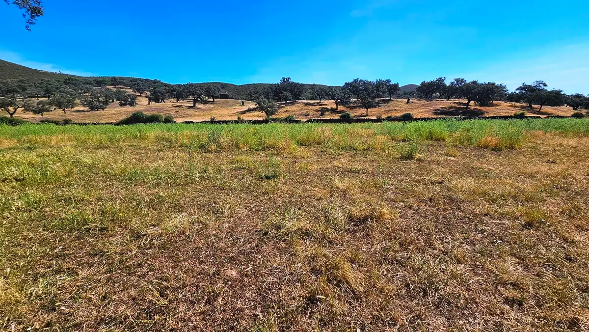 Terrenos y solares en venta en Aracena, imagen 47