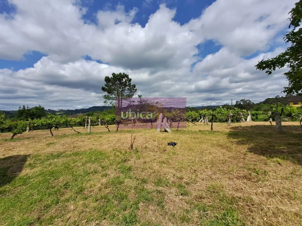Casa o xalet en venda en Salvaterra de Miño amb Jardí privat i Traster
