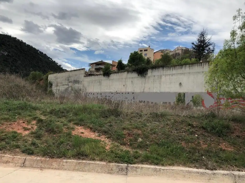 Terrain rustique à vendre à NUMANCIA (LA), imagen 5