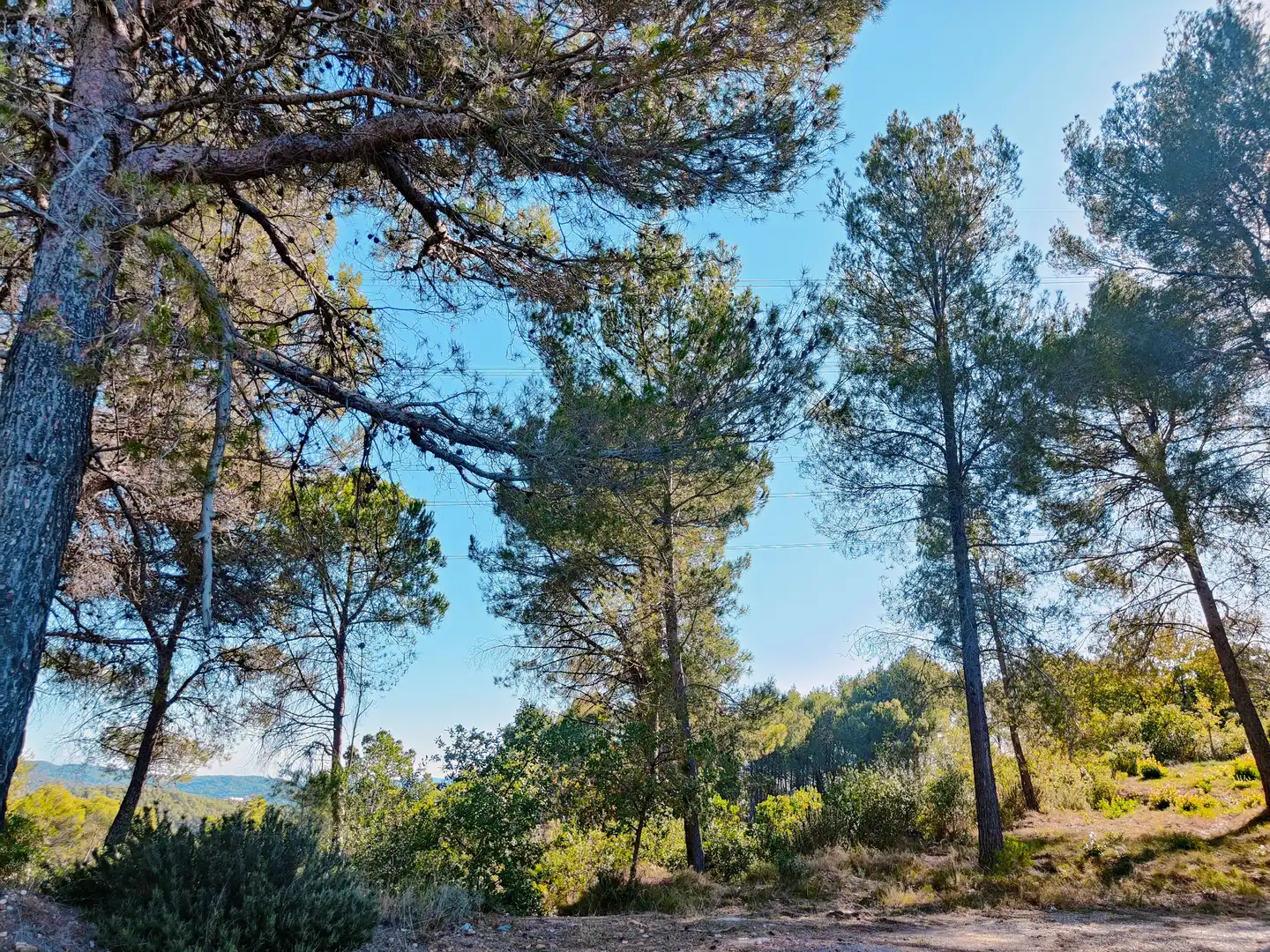 Wohnbaugrundstück zum Verkauf in Castellnou - Can Mir - Can Solà, imagen 5