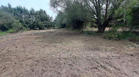 Foto 5 de Residencial en venta en Curera, 233, Escalante, Cantabria