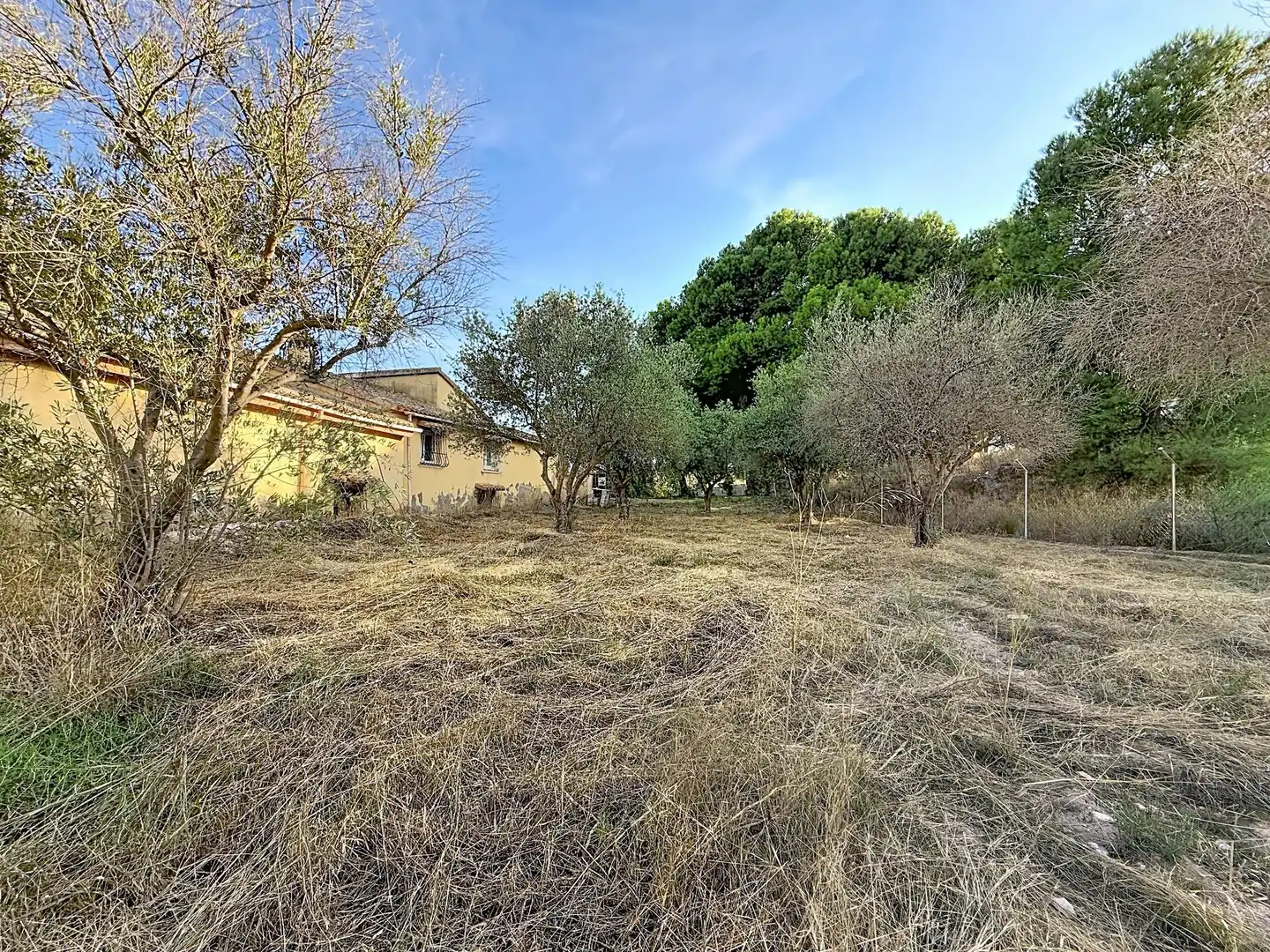 Finca rústica en venta en Castalla, Alicante