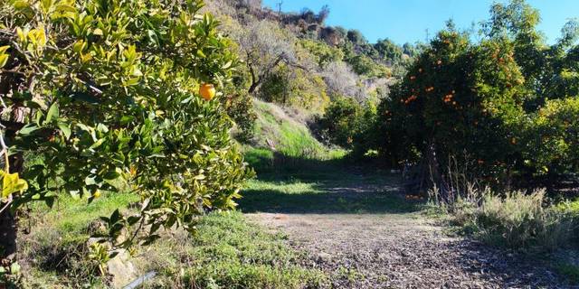 Terreno residencial en Venta en Terrenos  Rodriguez De La Borbolla  en Albuñuelas